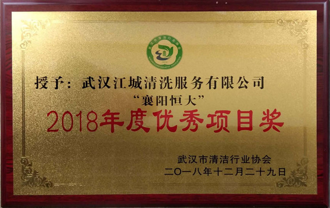 2018年度“襄陽恒大”獲得項目獎