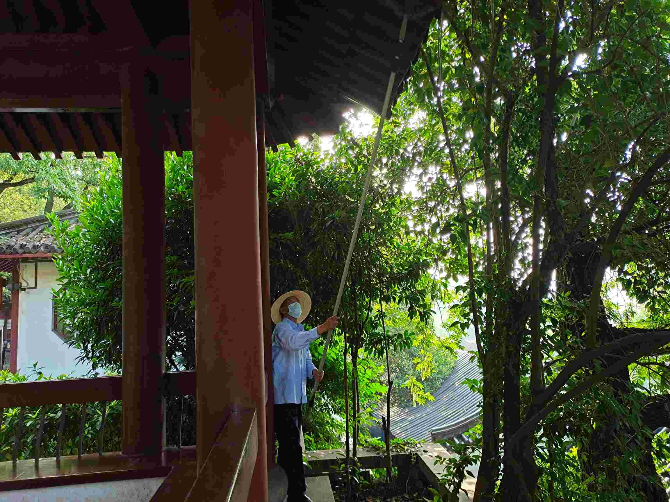 道路清掃服務能夠實現(xiàn)路面全新清潔